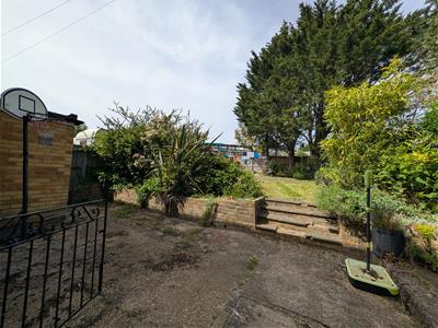 Picture 17